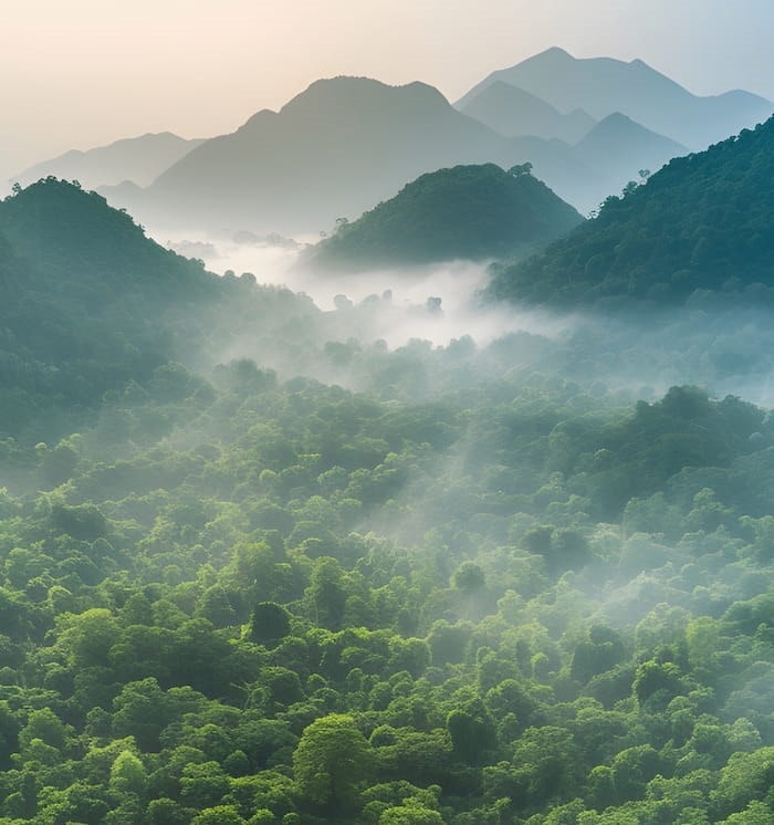 Охрана окружающей среды